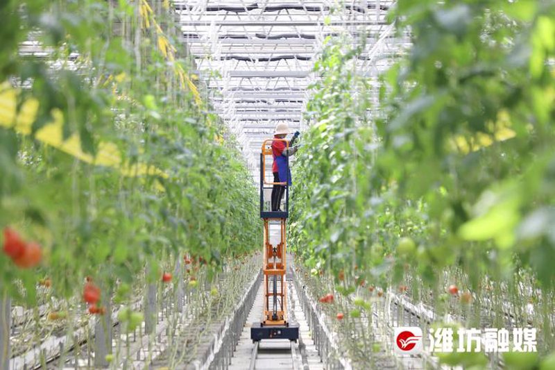 潍坊农业科技公司的行业风采